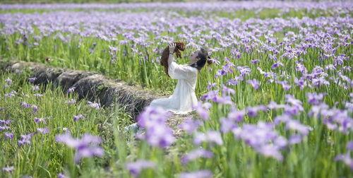 蓬莱网红鲜花基地,花海如梦，浪漫绽放的田园仙境