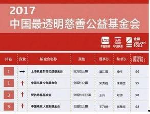 公益头条捐款目录,爱心汇聚，助力公益事业
