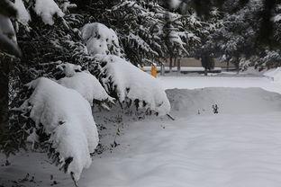 今日头条拍摄雪景在哪拍,揭秘今日头条热门雪景拍摄地