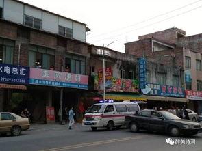 新塘万禾镇新闻头条,聚焦乡村振兴，共绘美好家园新画卷