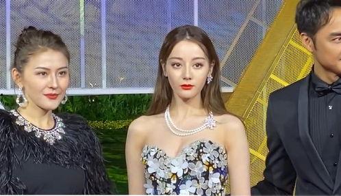 明星 拉,璀璨星途，闪耀娱乐圈