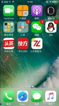 头条首页下方叫什么名字