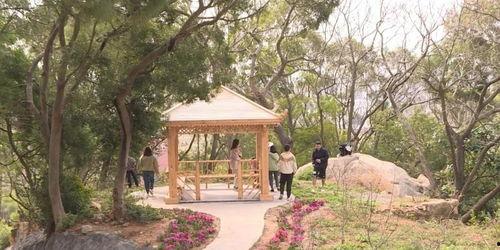 池塘怎么变成网红打卡点,揭秘自然美景的网红之路