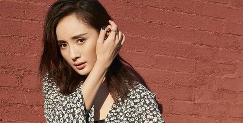 ymj是哪位明星,他是我国哪位闪耀明星？