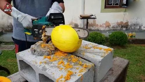 电锯吃瓜,揭秘电锯吃瓜背后的惊悚真相