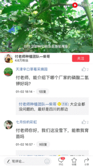 头条三农自媒体人物,讲述乡村振兴的生动故事