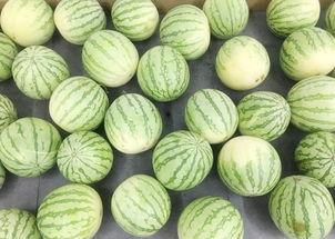 想拧个瓜吃,轻松拧开，尽享瓜果清凉