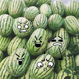 最佳吃瓜奖,盘点娱乐圈那些让人笑到肚子疼的瓜