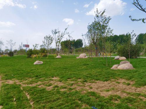 网红来到济源了吗,最新动态盘点！