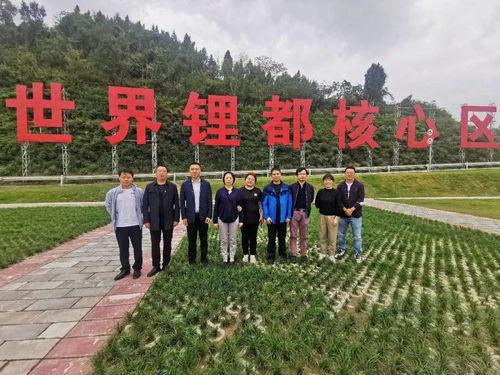 武安大同各镇新闻头条,聚焦发展成果与民生热点