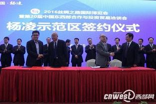 杨凌农贸区新闻头条,创新驱动，绿色农业发展新篇章