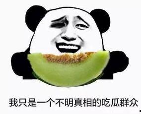 吃瓜不错的句子,揭秘网络热点的背后