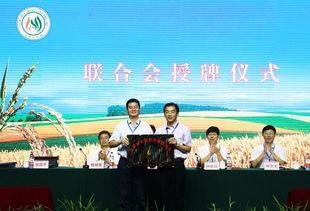 金华今日头条新农人,乡村振兴路上的创新先锋