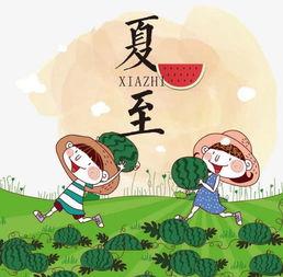 夏至游戏吃瓜游戏,揭秘吃瓜游戏的趣味与魅力