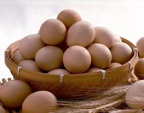 海宁银泰最新吃瓜,揭秘网红打卡地背后的故事