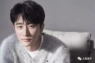 我是大明星李大翠视频,我是大明星的璀璨星光