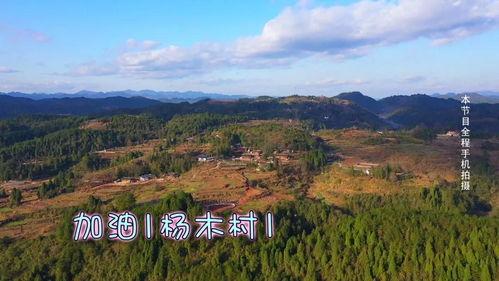 商丘农村正能量网红,传递乡村新风尚的“网络使者”