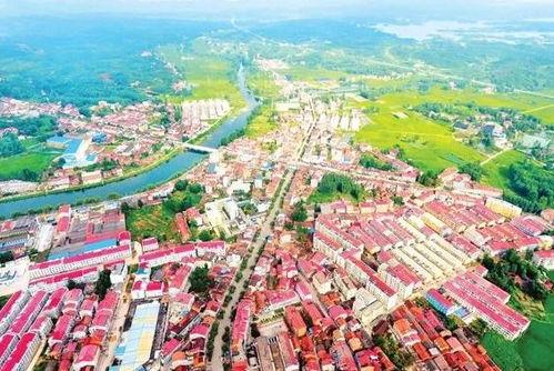 崇德县柳市镇新闻头条