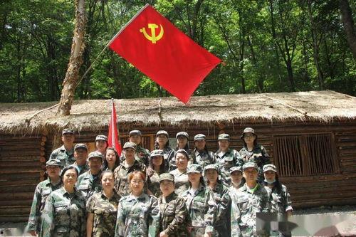 娱乐吃瓜酱向阳路小学,娱乐吃瓜酱的校园风云录